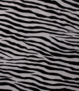 Zebra Plush