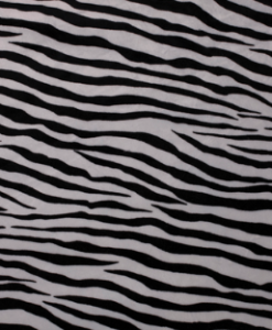 Zebra Plush